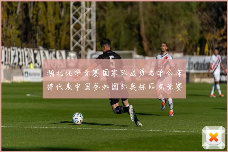 湖北化学竞赛国家队成员名单公布将代表中国参加国际奥林匹克竞赛