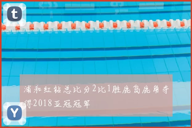 浦和红钻总比分2比1胜鹿岛鹿角夺得2018亚冠冠军