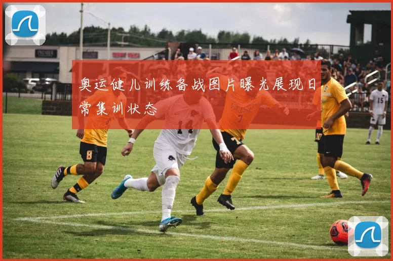 奥运健儿训练备战图片曝光展现日常集训状态