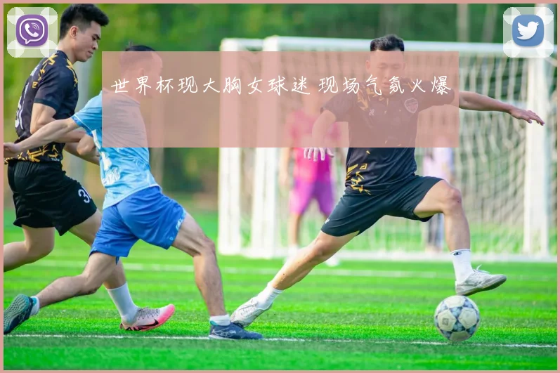 世界杯现大胸女球迷 现场气氛火爆